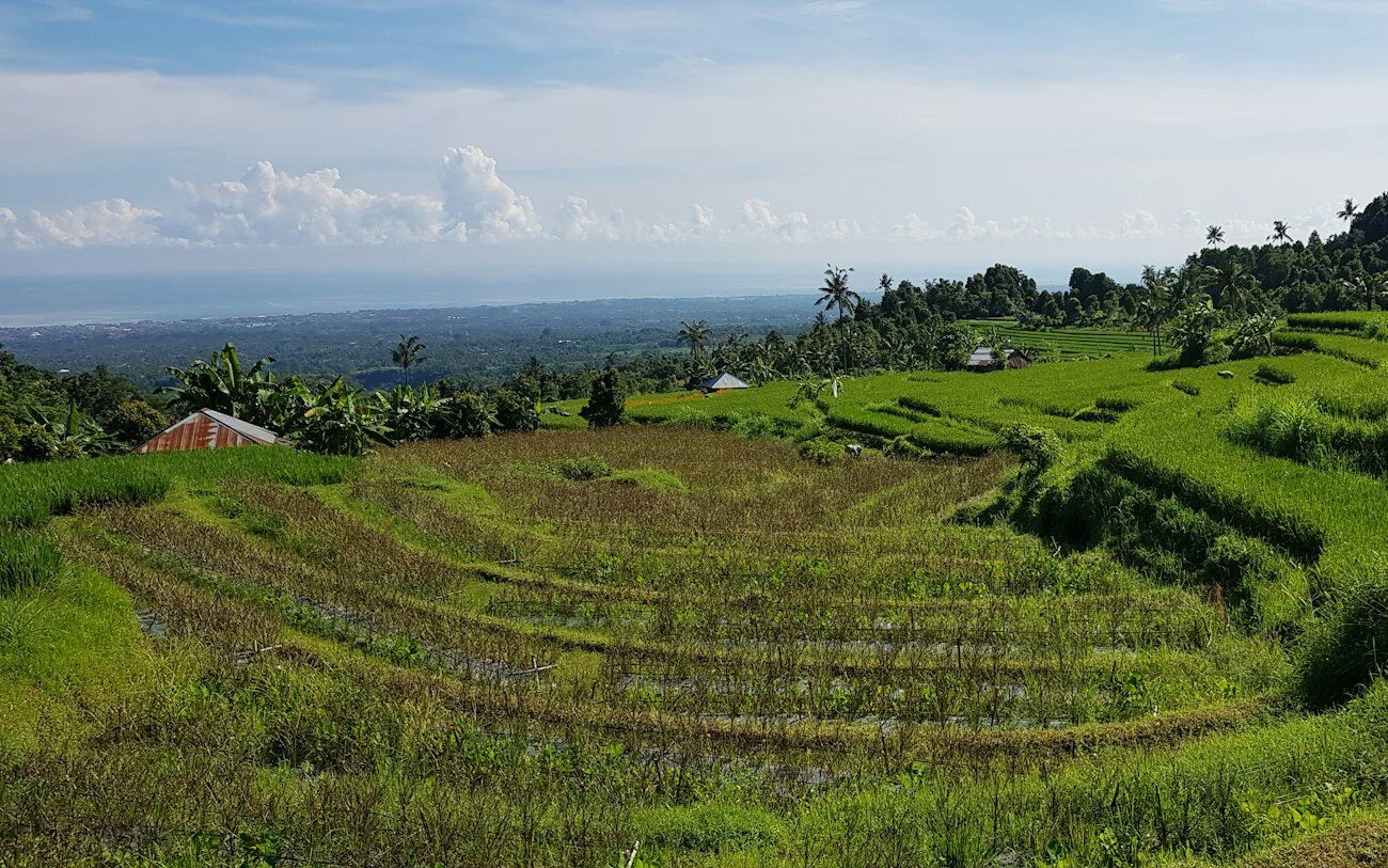 Cost of living in Canggu (Bali) in 2026: a real monthly budget